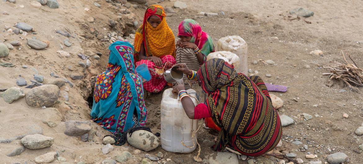 Four women gather water from a dry area