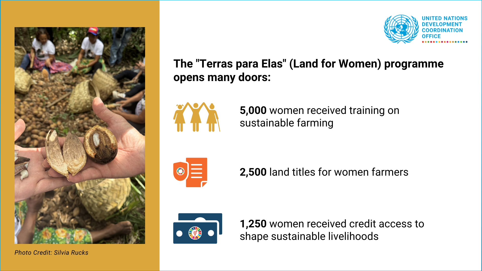The "Terras para Elas" (Land for Women) programme, opens many doors: 2,500 land titles for women farmers 5,000 women received training on sustainable farming 1,250 women received credit access to shape sustainable livelihoods