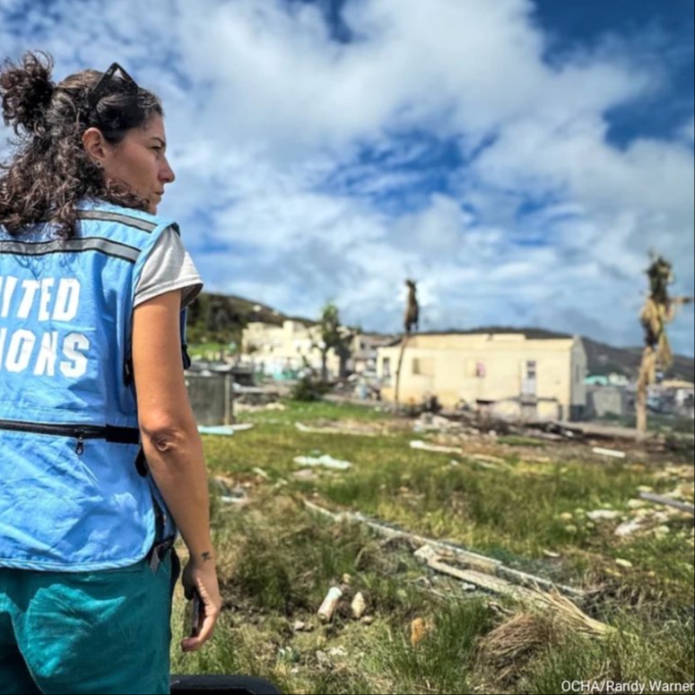 A woman in a blue UN vest, stands in front of a devastated field after Hurricane Beryl
