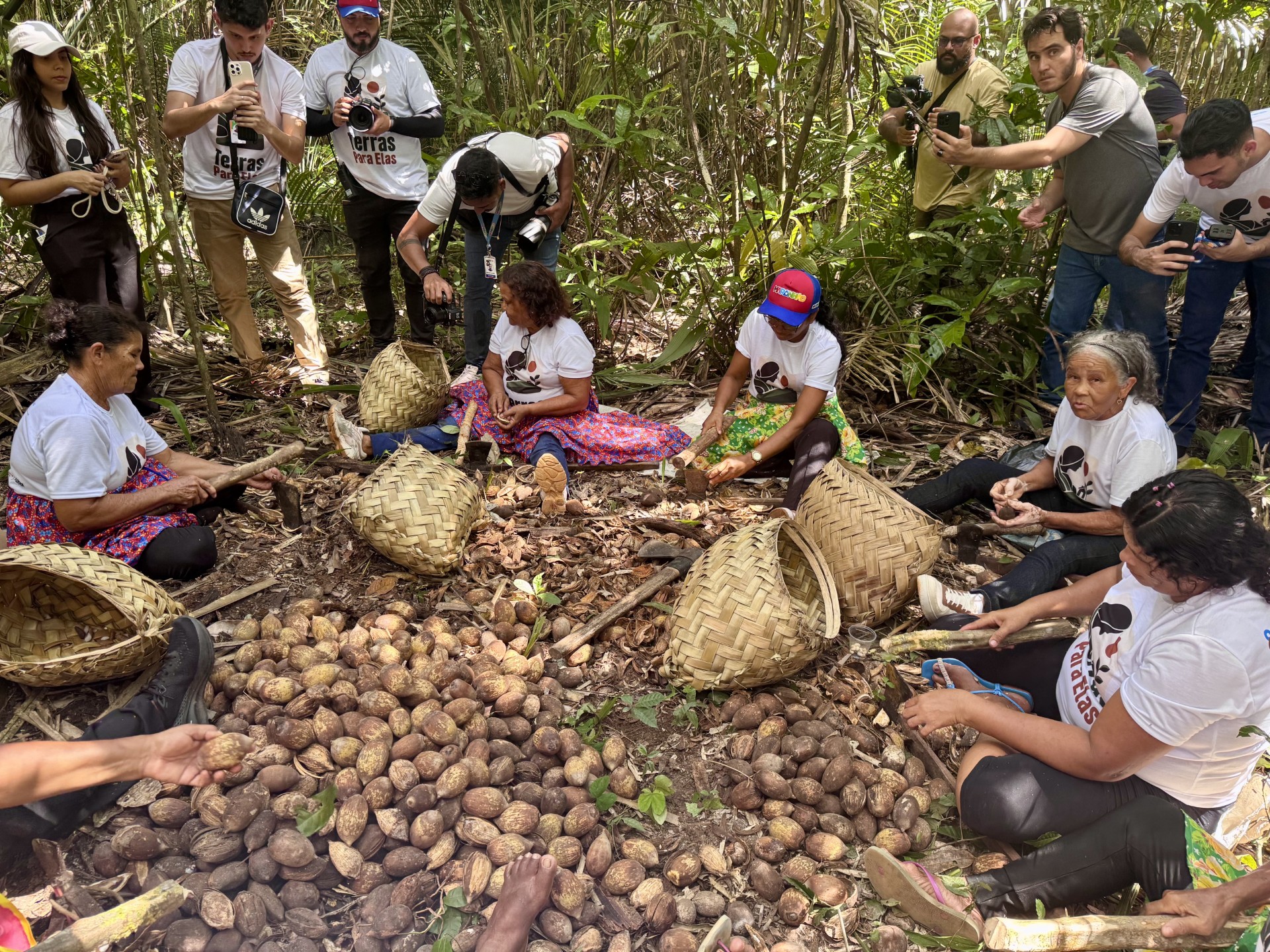 A group of women seated on the ground working together on the harvesting of the Babaçu nut