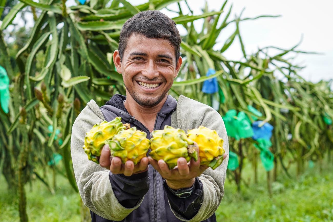 A man in Ecuador holds fruits in his hands in his field.