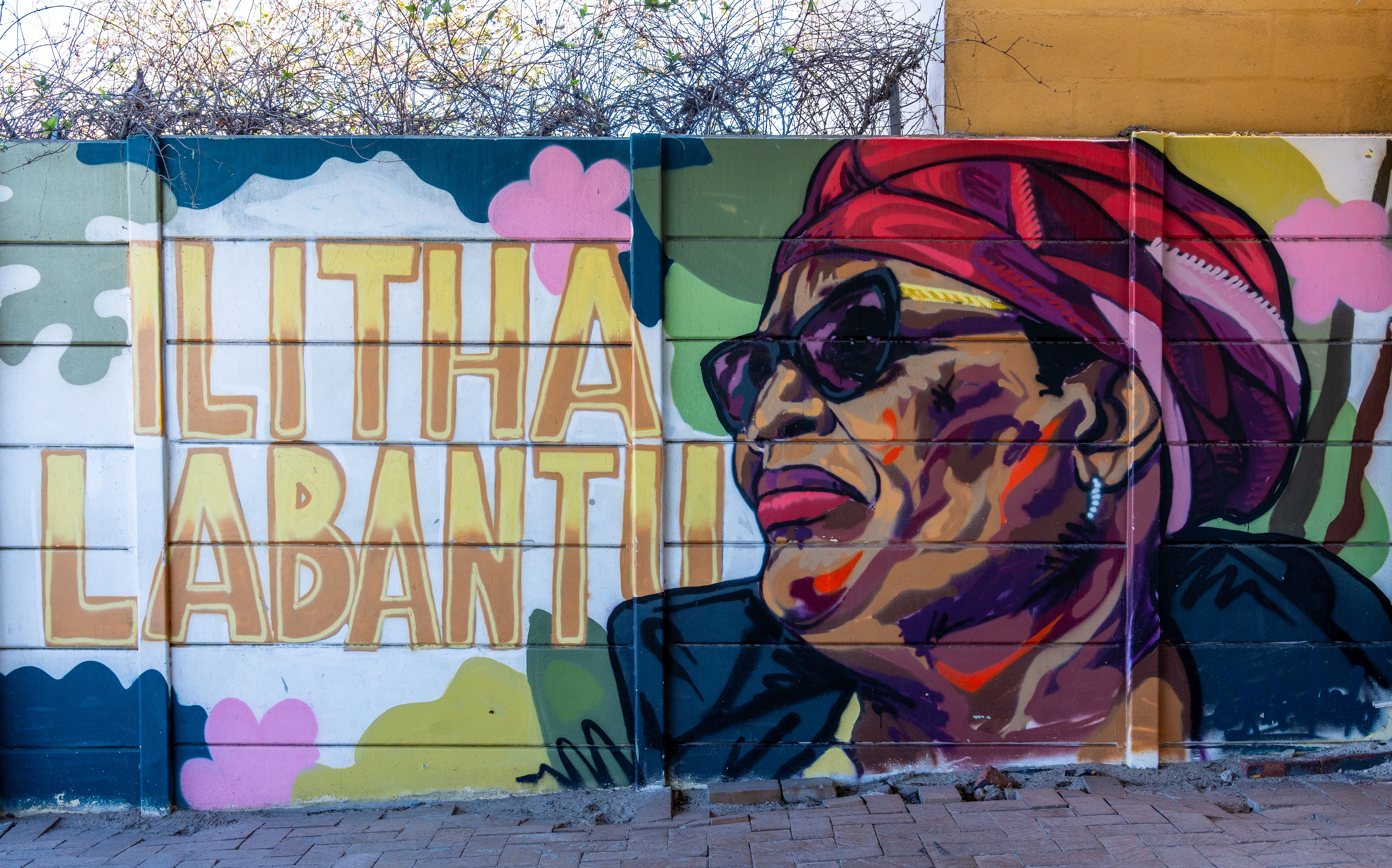 A mural dedicated to a civil society organization combatting gender-based violence in South Africa.