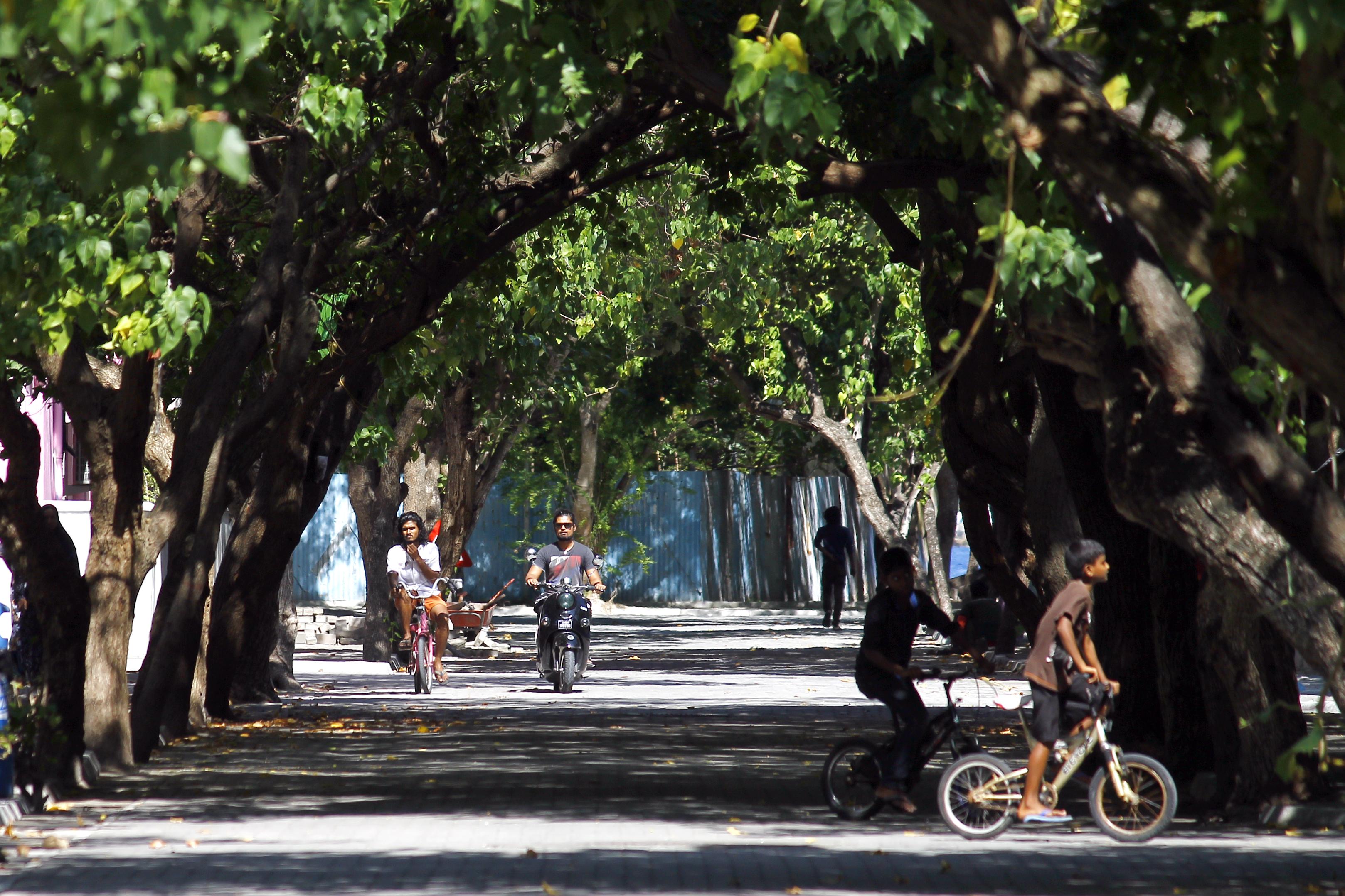Locals drive down a tree-lined street in the Maldives.