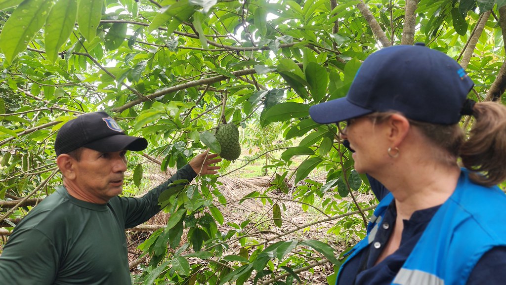 A man in the Bolivian Amazon shows a tree to a UN official.