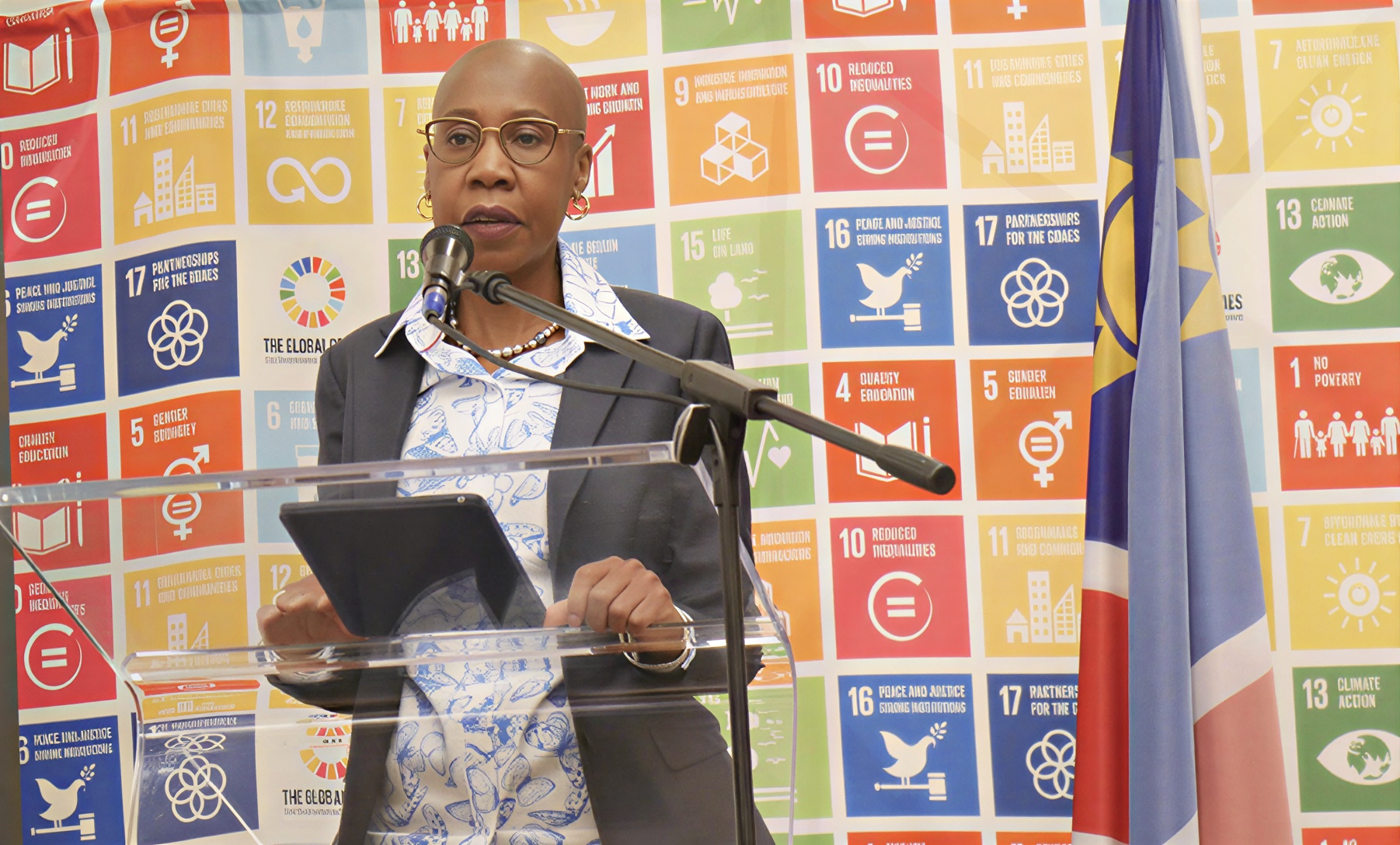 The UN Resident Coordinator in Namibia delivers a speech.