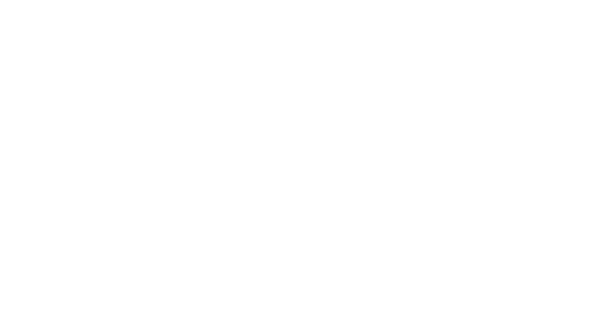 Logo of the UN Sustainable Development Group in white