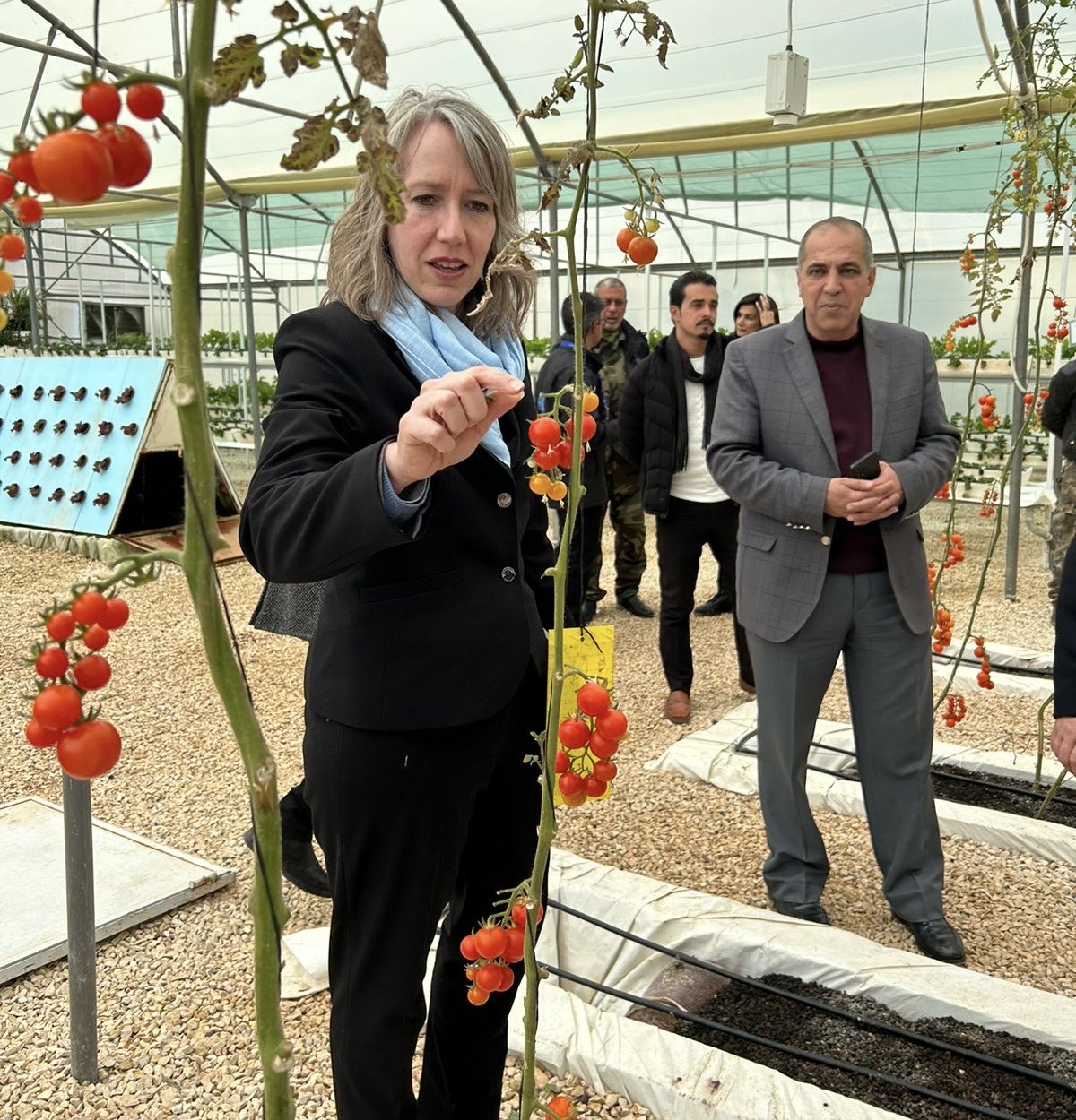 woman in suit visits a tomato farm 