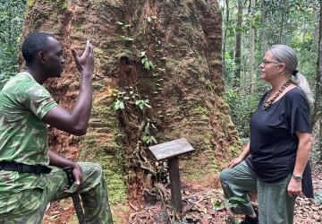 Two people speak near a tree. 