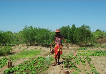 woman in red walks through a field watering plants 