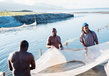 three men untangle a fishing net against blue sea 