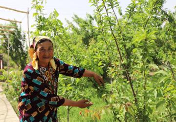 woman in floral dress and headscarf tends to green plant 