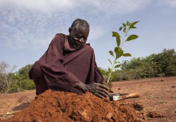 A man is in a dessertified area planting a tree, demonstrating the impacts of climate change and dissertification