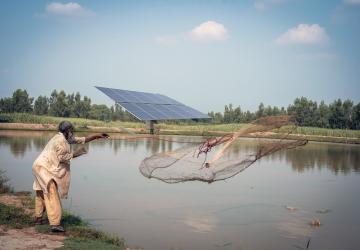 A man in Pakistan throws a fish net into a lake; a solar panel is in the background.