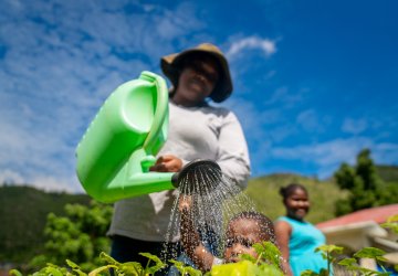 A woman in Jamaica waters her garden.