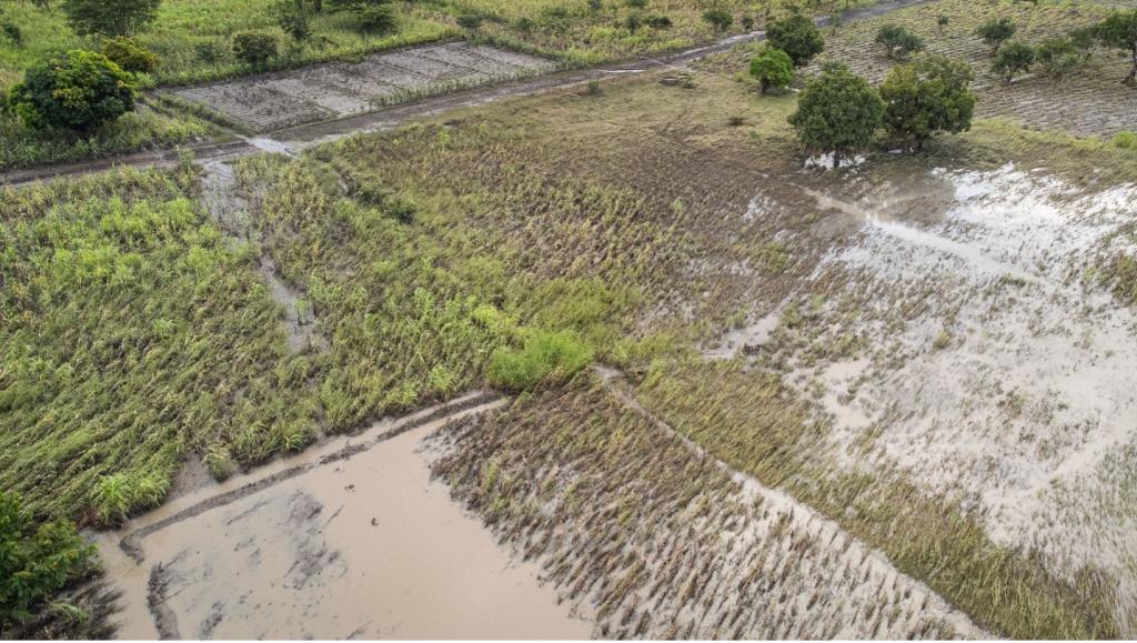 birds-eye view of flooded crops 