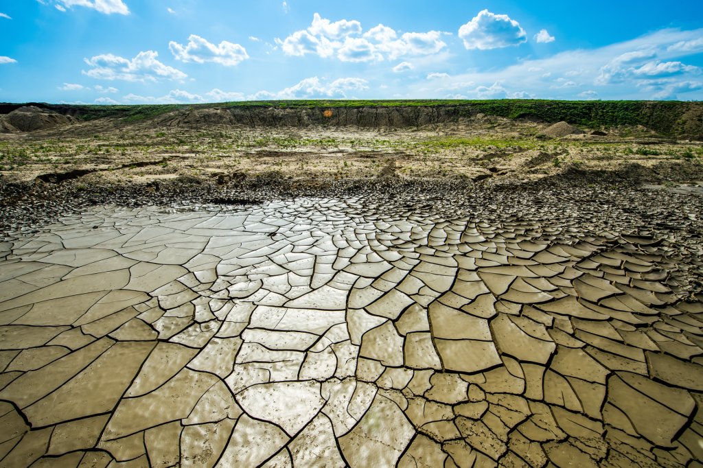 Drought-afflicted earth. 