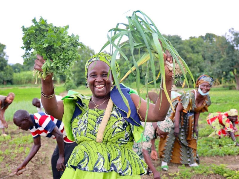 A farmer in Cameroon.