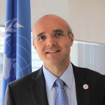 man in dark suit looks into the camera with UN flag behind 