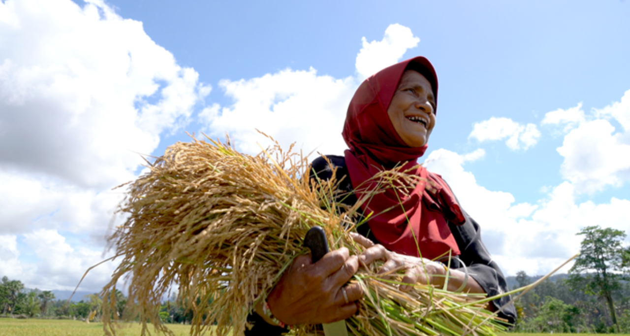 woman in red headscarf holds bundle of straw 