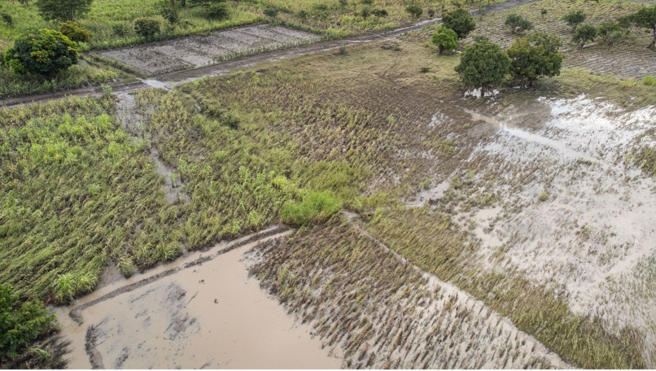 birds-eye view of flooded crops 
