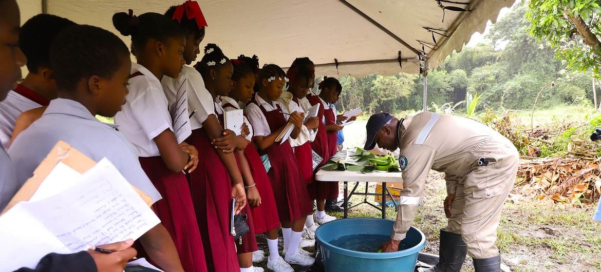 group of schoolchildren in red and white uniforms stand in front of man leaning over a bucket with bananas