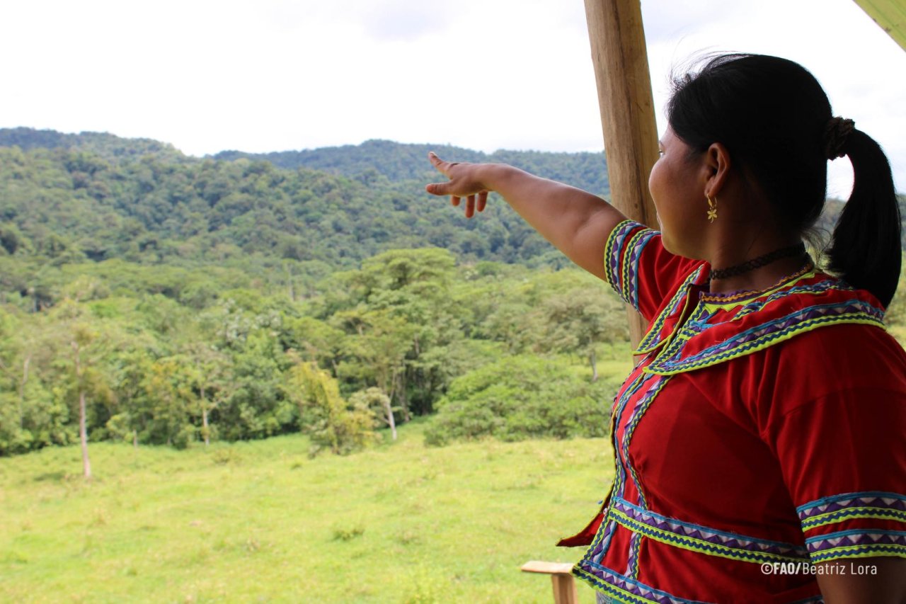 woman with back to camera points to the forest in the background