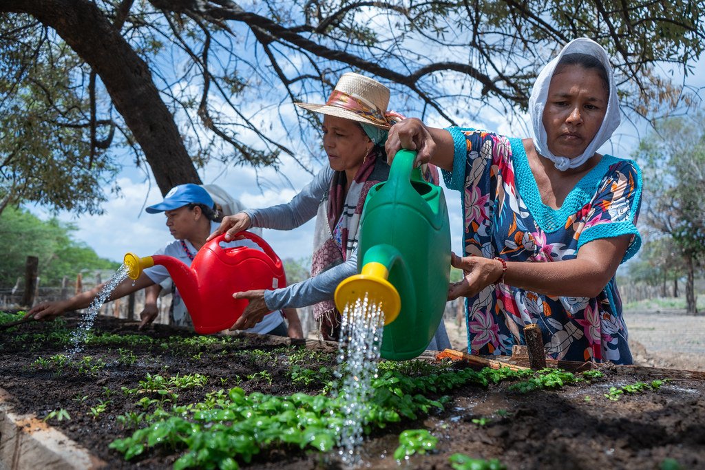 Three women water seedlings in a raised garden bed with watering cans.