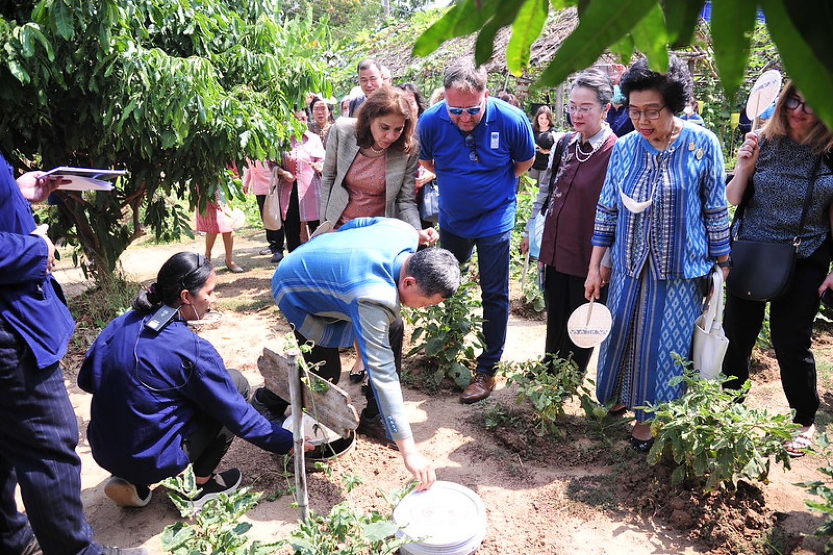 The officials at the event huddle around to plant a tree