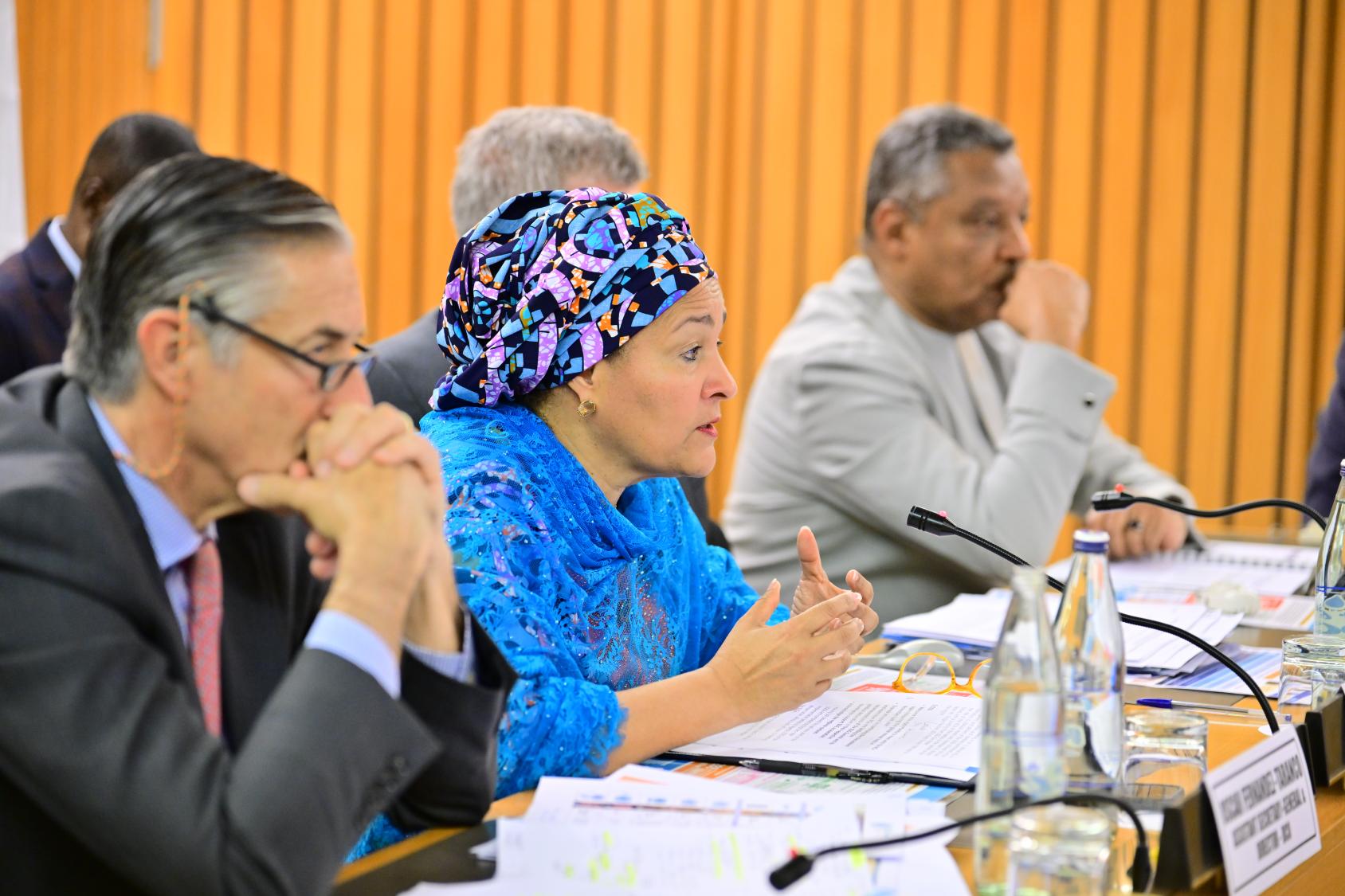 Three people are pictured, two men and the DSG Amina Mohammed