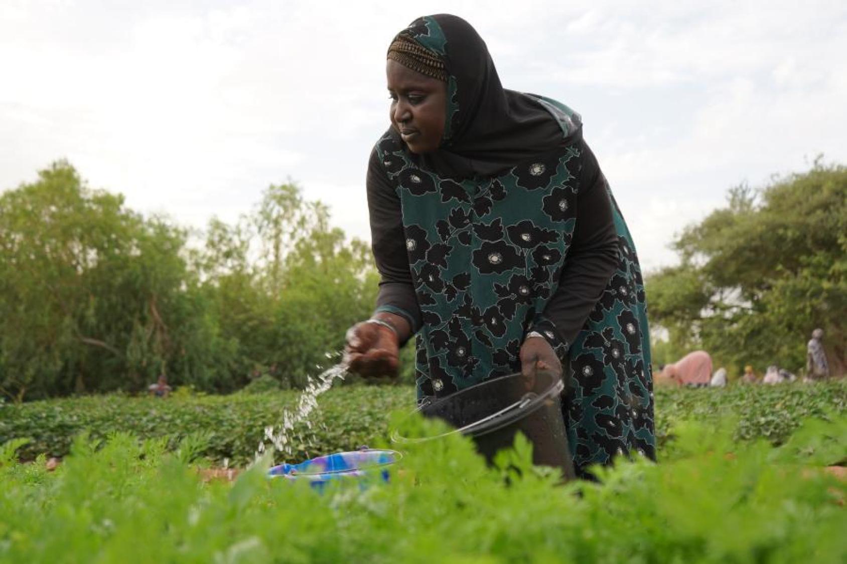 A woman outdoors watering her crops