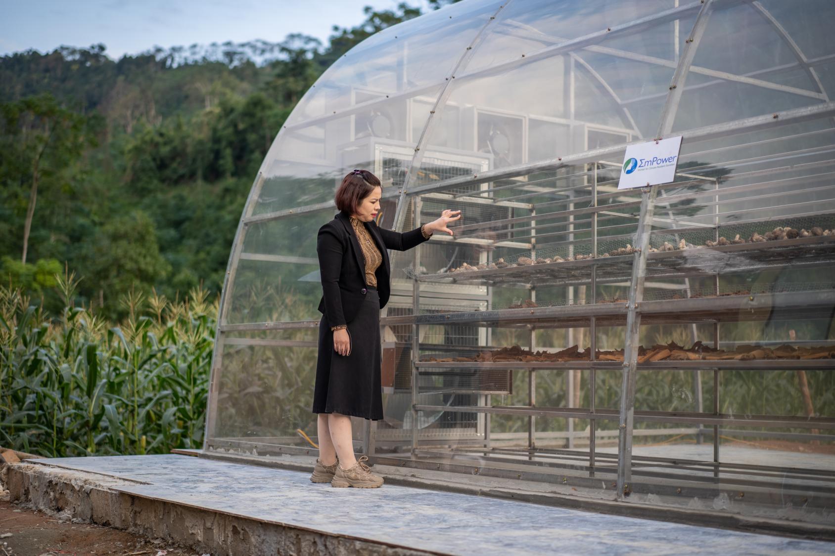 A glass house with plants inside it and a woman in a black suite stands observing it