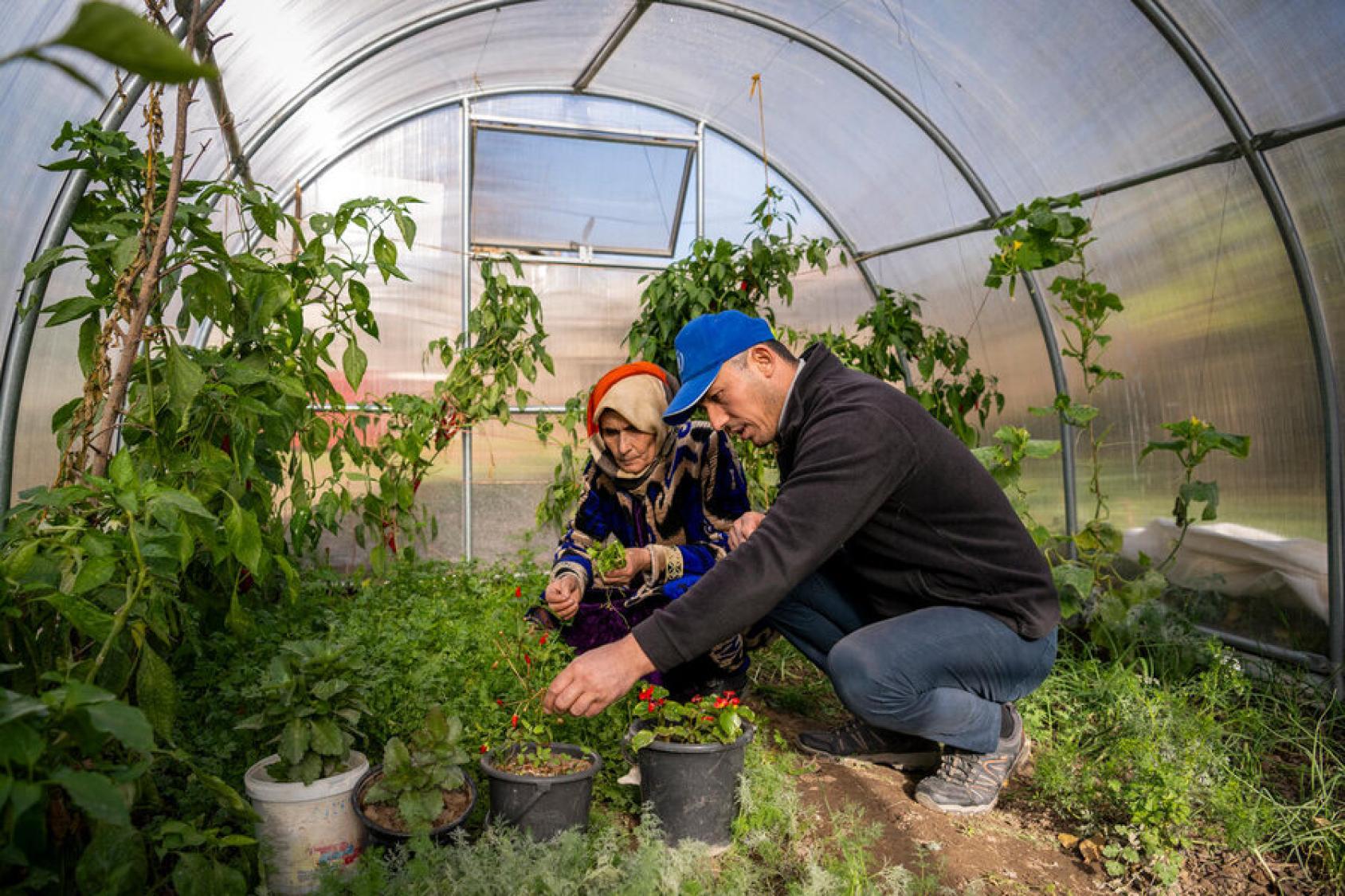 A woman and a man are working on a sustainable garden to help with food security