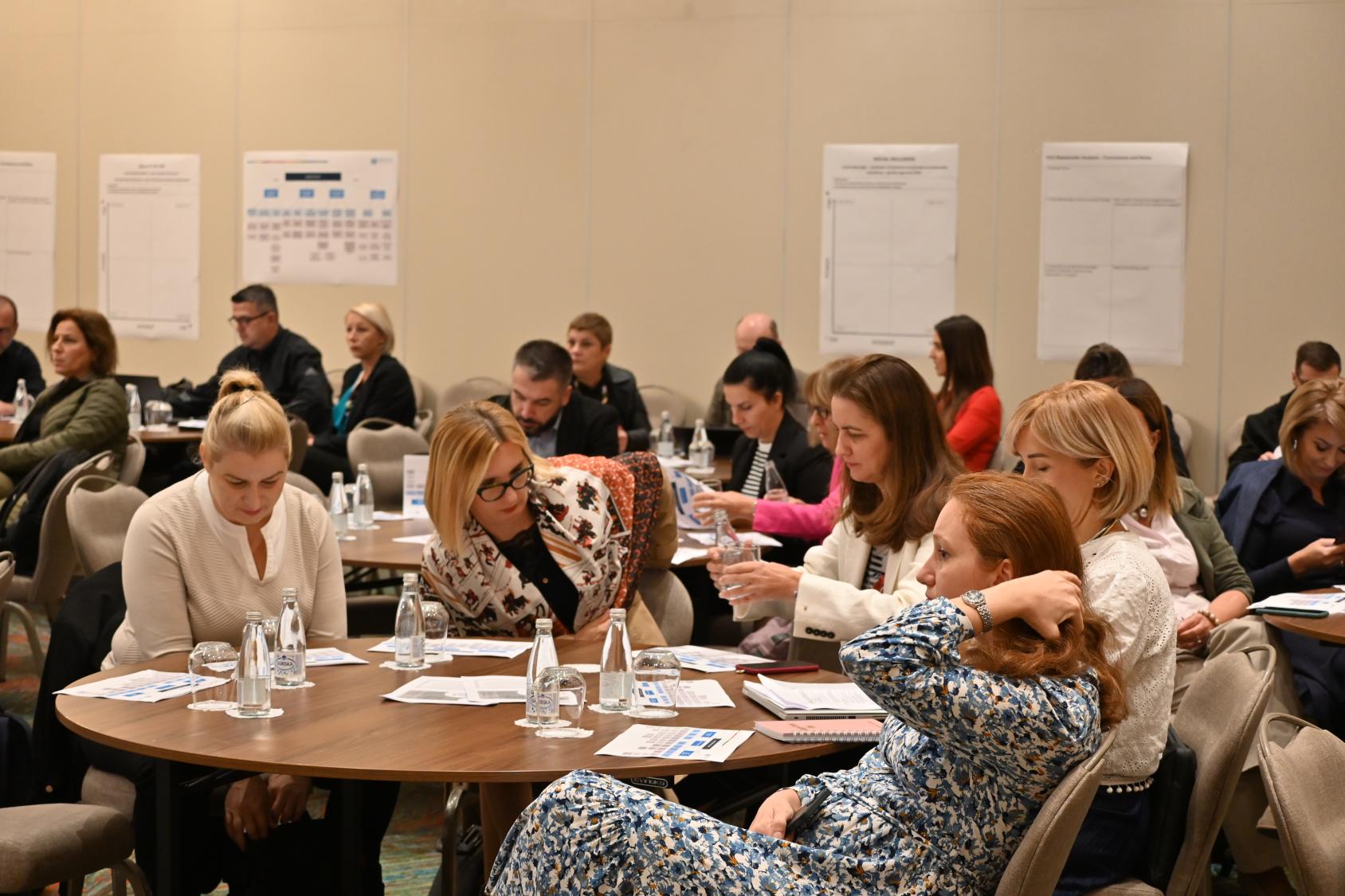 A group of people in discussion about the National Development Strategy of North Macedonia