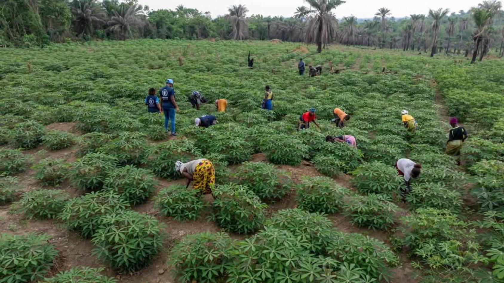 A group of people in a field 