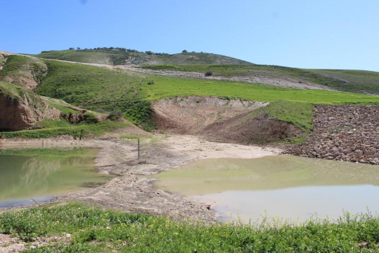 photo of a water landscape