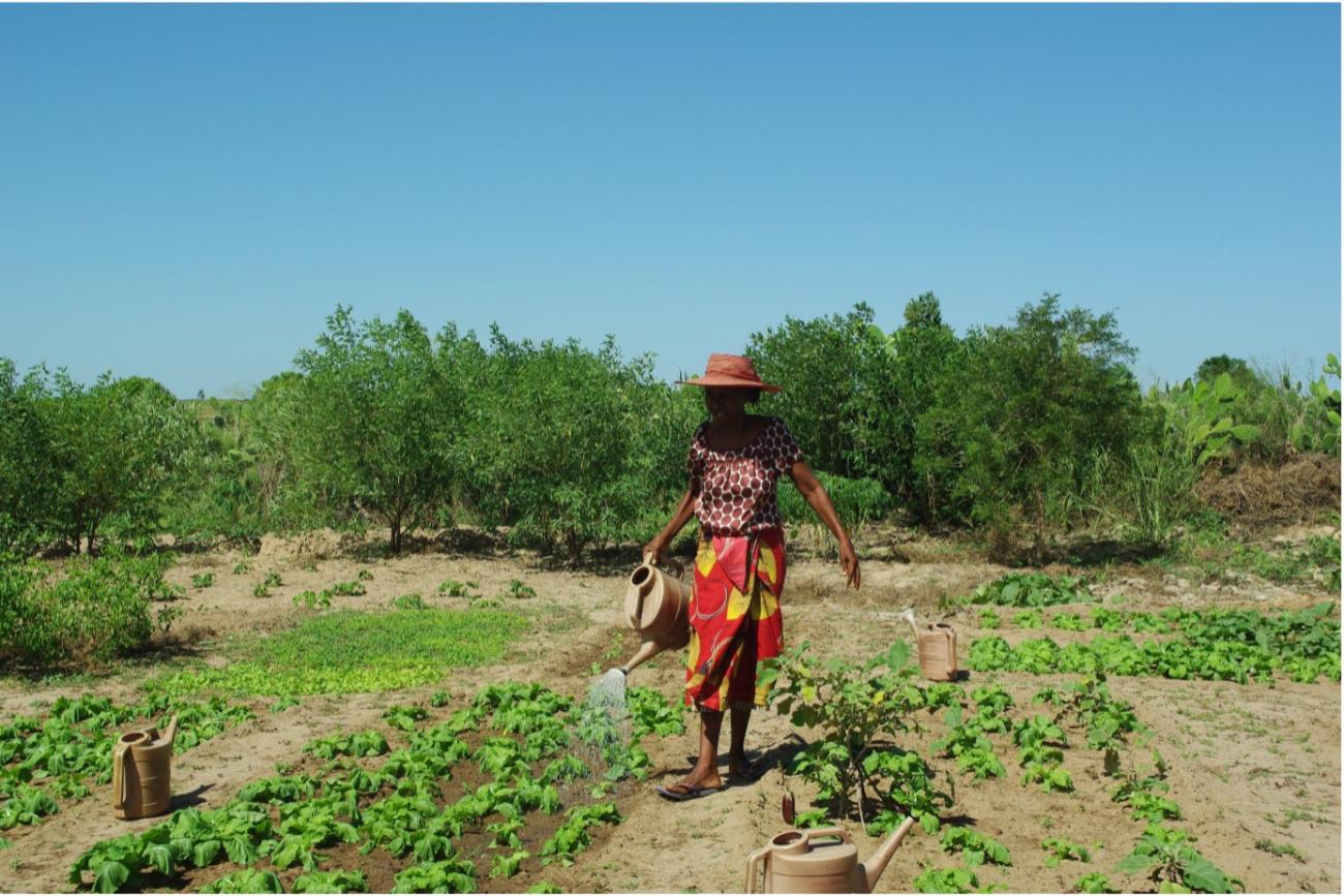 woman in red walks through a field watering plants