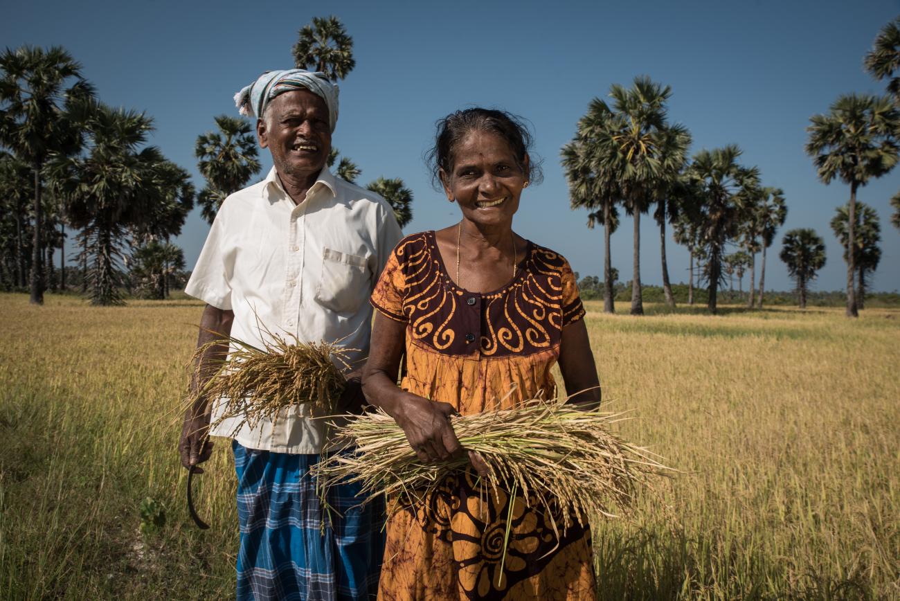 A man and woman stand in a field against a bright blue sky and hold crops that look like wheat. 