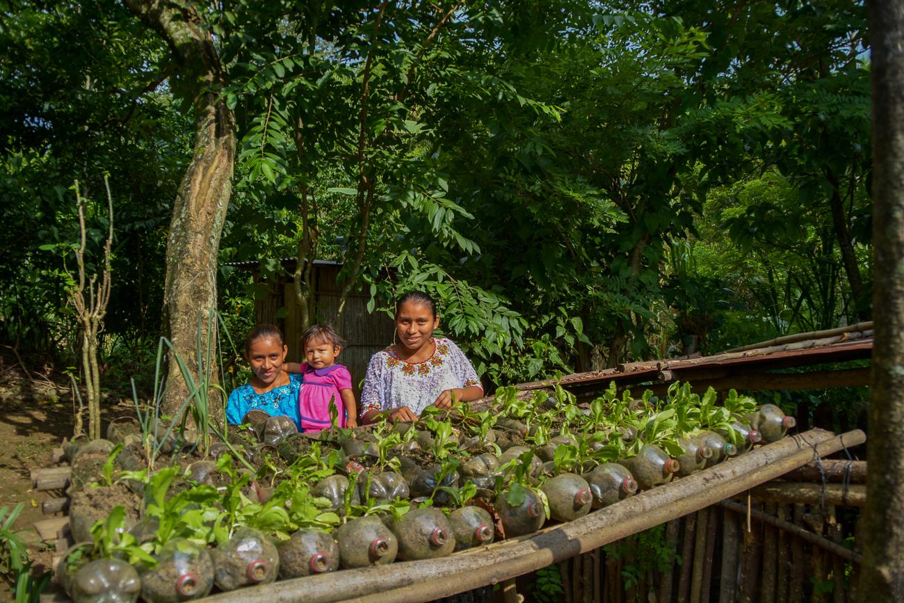 A number of children look at the camera, in front of some potted plants 