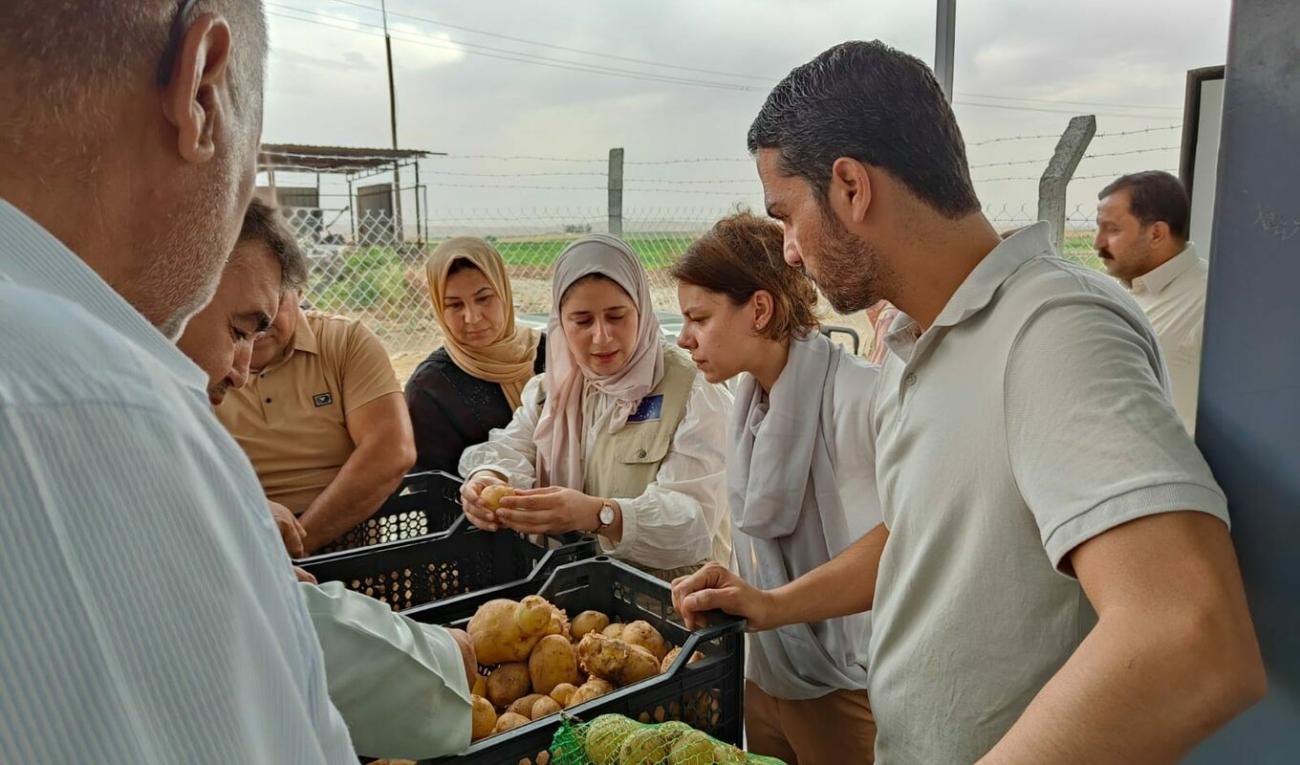 A group of people looking over food produce in an outdoor setting. Includes both men and women and a woman wearing a head scarf