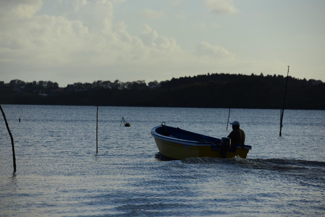 A man on a small boat is travelling across water.