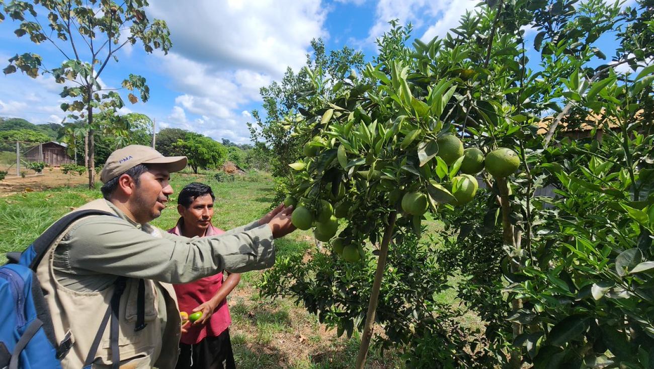A man in the Bolivian Amazon shows his crop to a UN official. 
