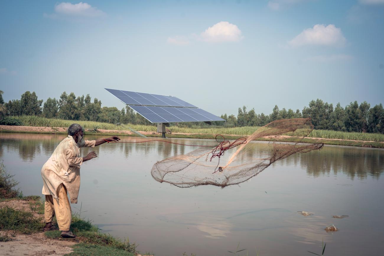 A man in Pakistan throws a fish net into a lake; a solar panel is in the background.