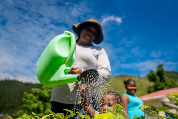 A woman in Jamaica waters her garden.