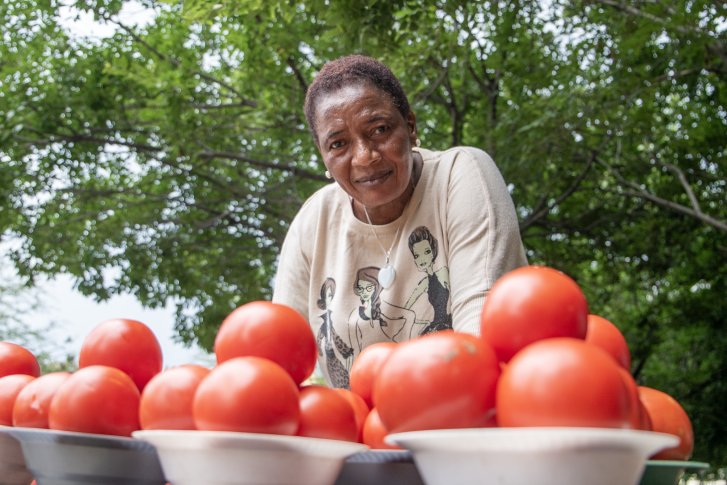 A market vendor in South Africa sells tomatoes.