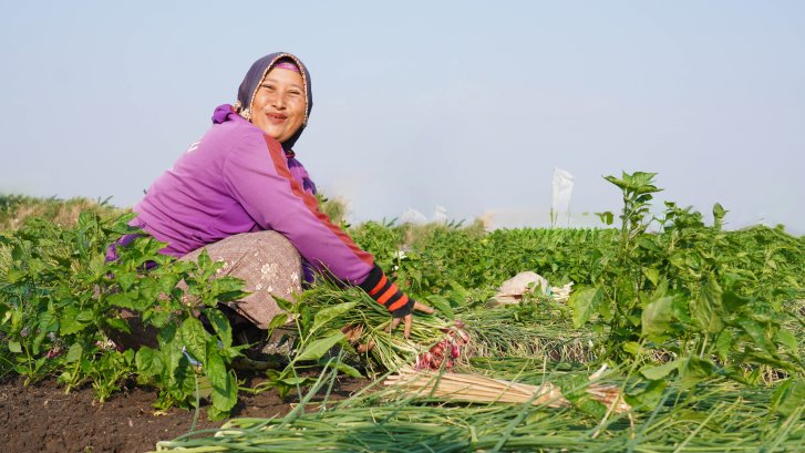 A farmer in Indonesia works in her field.