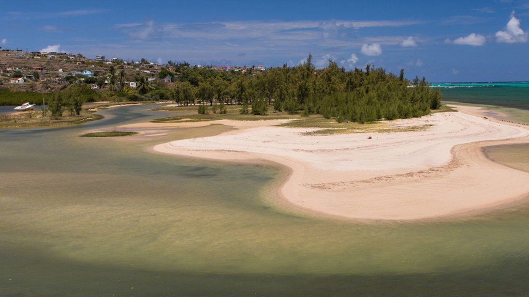 island with white sand beaches and tropical forest 