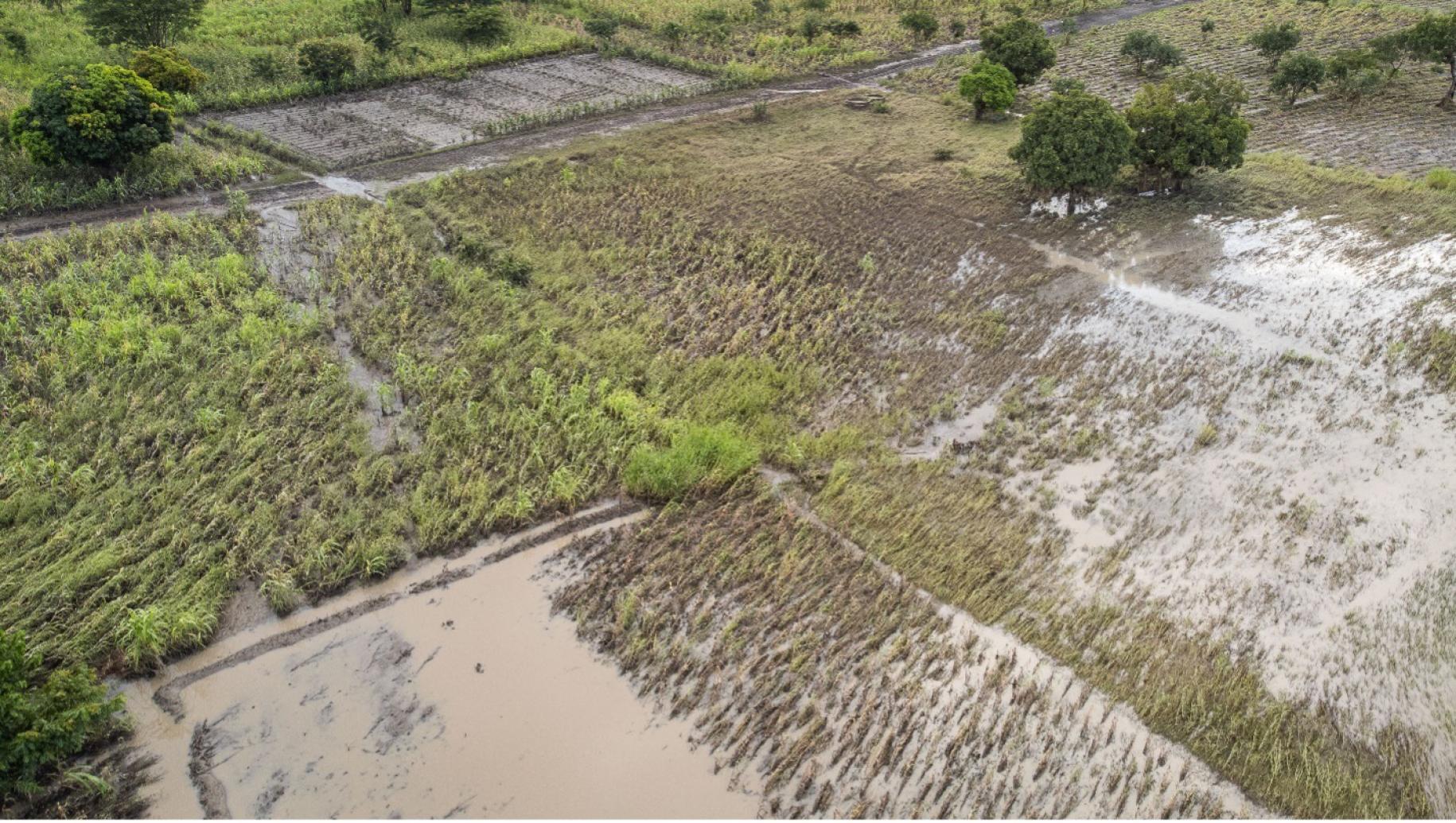 birds-eye view of flooded crops