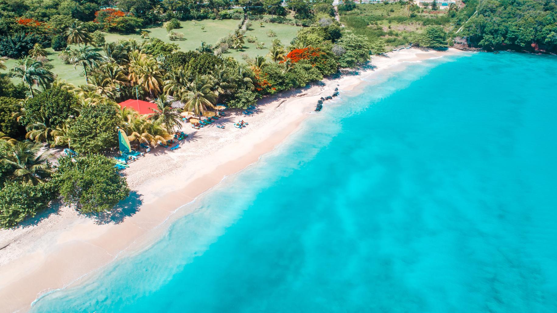 birds-eye view of tropical beach and rainforest