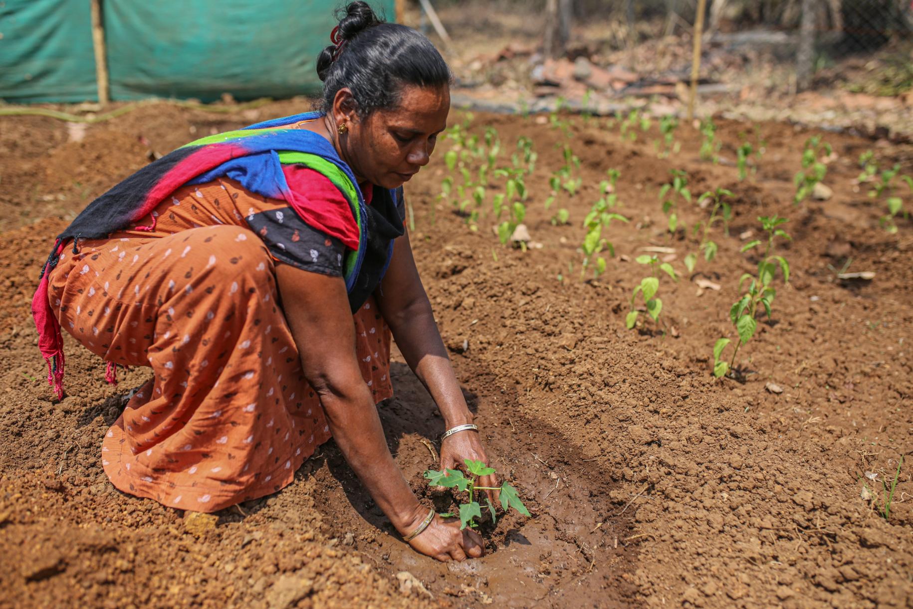 woman in orange and blue clothes bends down to tend to plant
