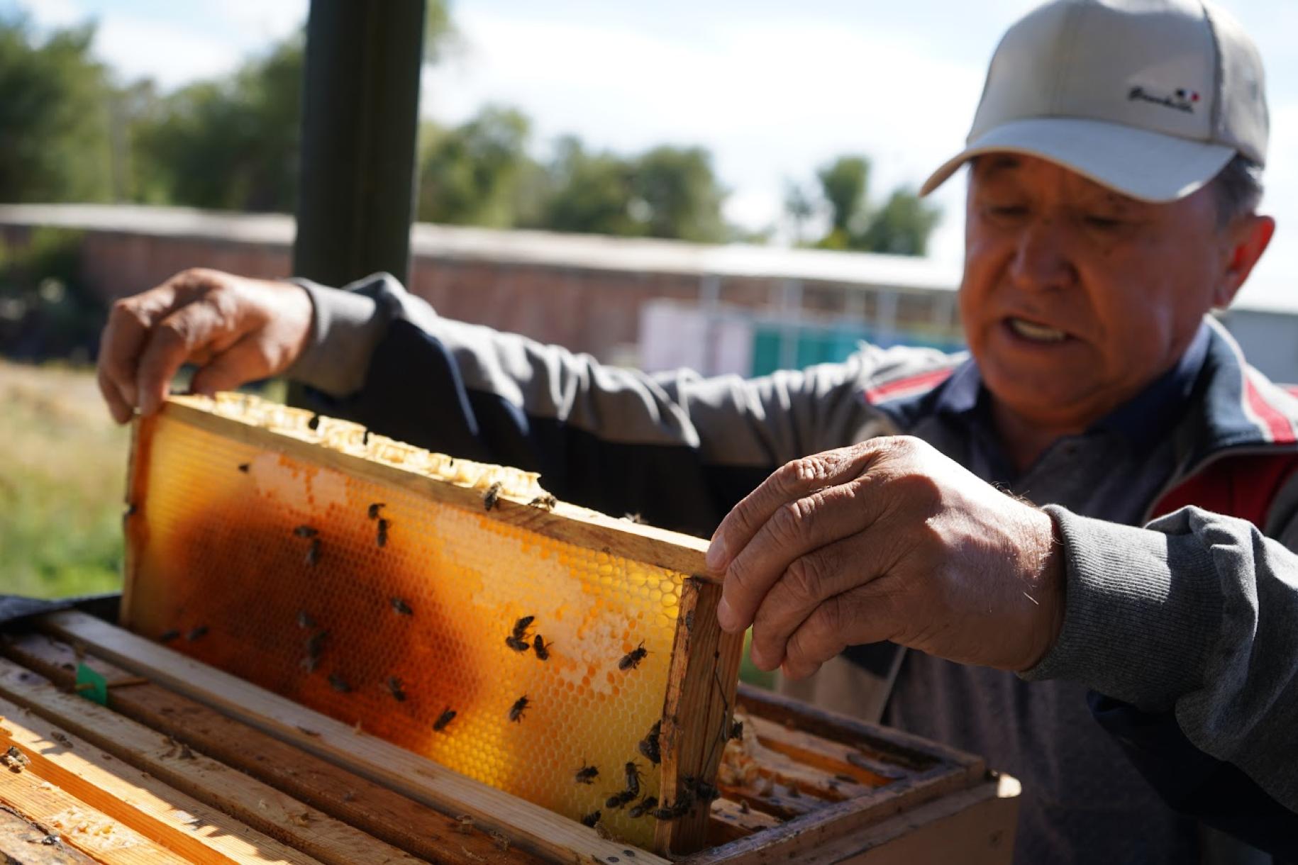 bee keeper in a white cap 